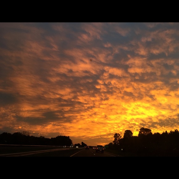 Meet your Posher, Lisa - Picture 6 of 8